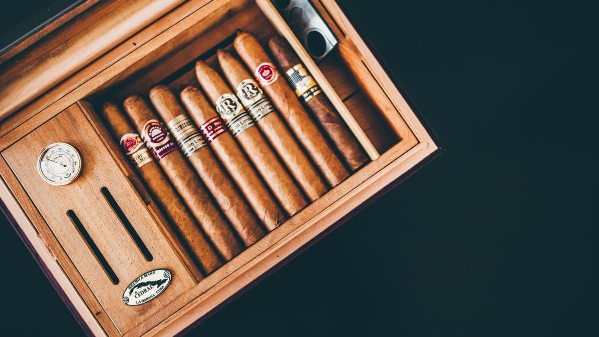 Why a cigar makes a great gift